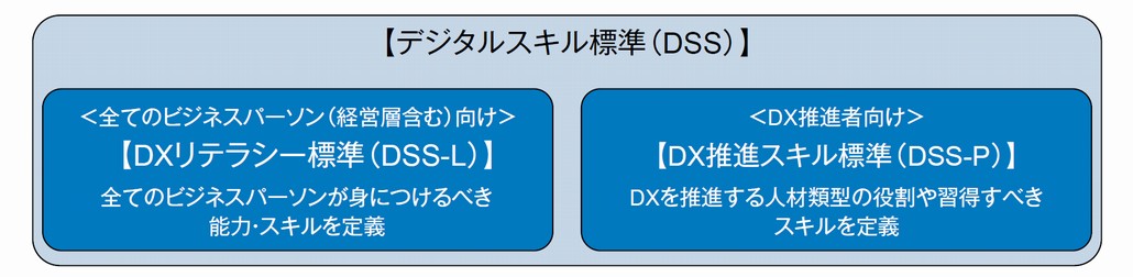 図1．デジタルスキル標準（DSS）の構成